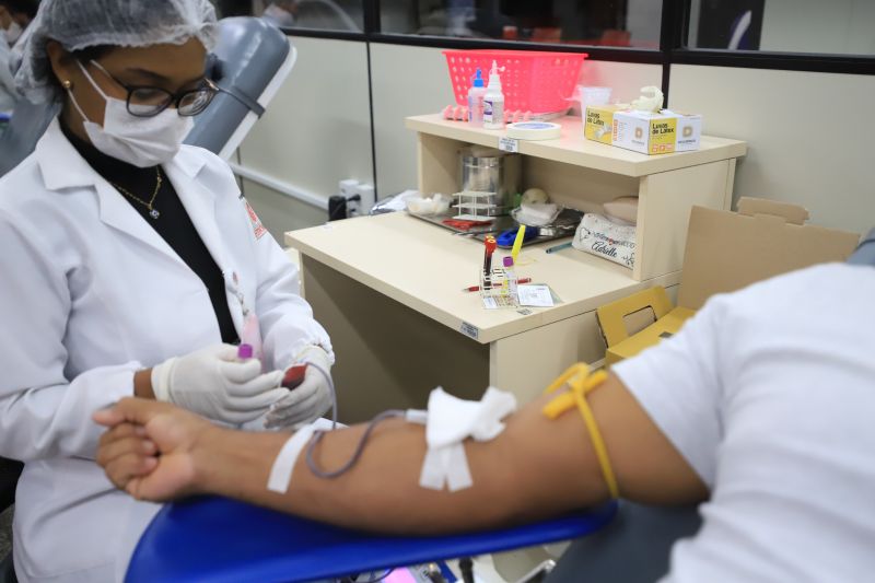  <div class='credito_fotos'>Foto: Bruno Cruz / Ag. Pará &nbsp;&nbsp;|&nbsp;&nbsp; <a href='/midias/2024/originais/18456_7bf65f4f-5491-e3de-f171-6bce82ab9061.jpg' download><i class='fa-solid fa-download'></i> Download</a></div>