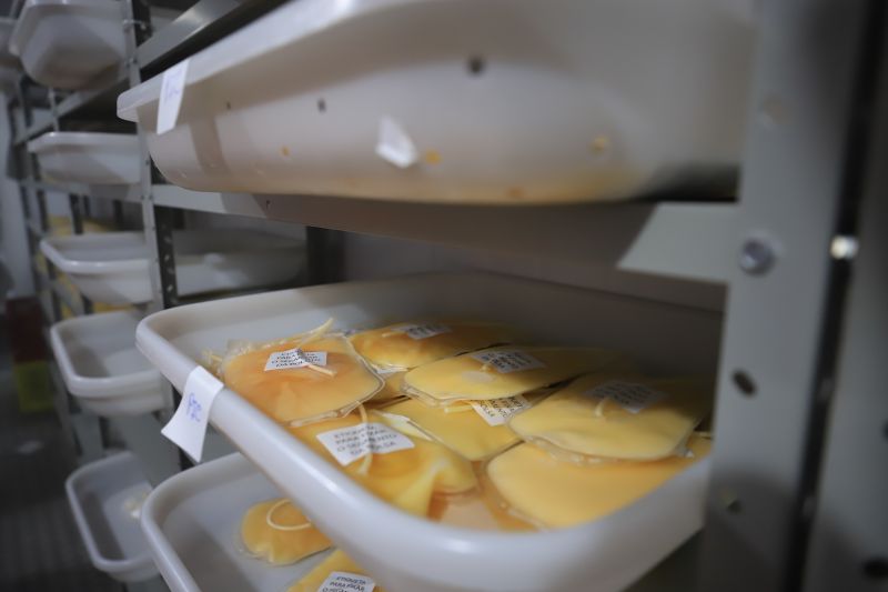  <div class='credito_fotos'>Foto: Bruno Cruz / Ag. Pará &nbsp;&nbsp;|&nbsp;&nbsp; <a href='/midias/2024/originais/18456_7cd256e1-b488-df0f-4ce5-f2a77a8ac2c4.jpg' download><i class='fa-solid fa-download'></i> Download</a></div>