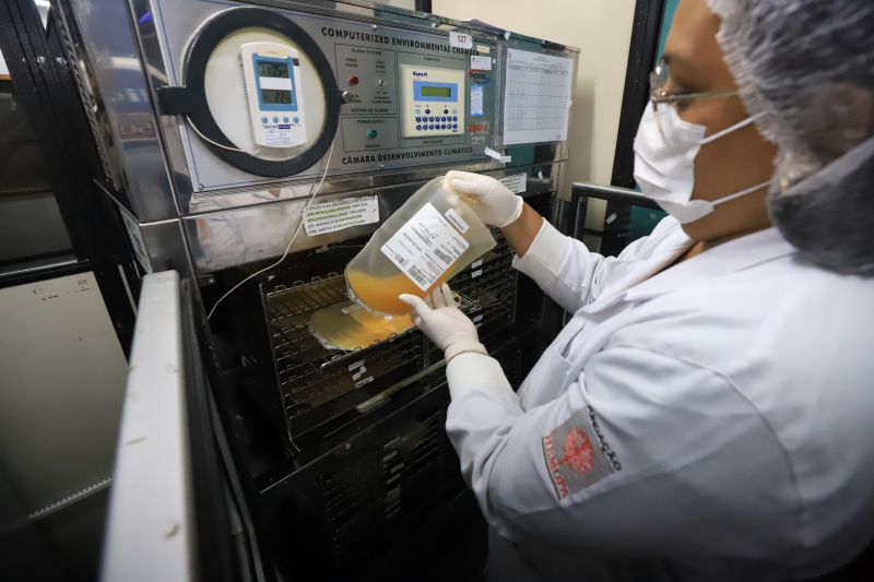  <div class='credito_fotos'>Foto: Bruno Cruz / Ag. Pará &nbsp;&nbsp;|&nbsp;&nbsp; <a href='/midias/2024/originais/18456_82f9b337-1331-8126-bb4b-d4aa0c8e64c9.jpg' download><i class='fa-solid fa-download'></i> Download</a></div>