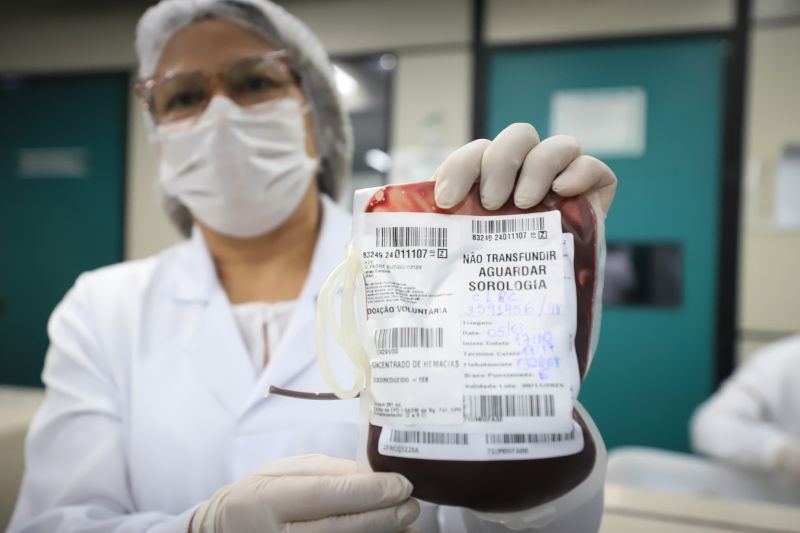  <div class='credito_fotos'>Foto: Bruno Cruz / Ag. Pará &nbsp;&nbsp;|&nbsp;&nbsp; <a href='/midias/2024/originais/18456_836f10e0-4457-7aa7-d3f0-a5da4c1ff89e.jpg' download><i class='fa-solid fa-download'></i> Download</a></div>