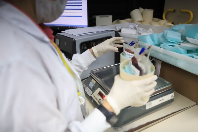  <div class='credito_fotos'>Foto: Bruno Cruz / Ag. Pará &nbsp;&nbsp;|&nbsp;&nbsp; <a href='/midias/2024/originais/18456_875301b9-078c-5a8d-238b-70f27d289295.jpg' download><i class='fa-solid fa-download'></i> Download</a></div>