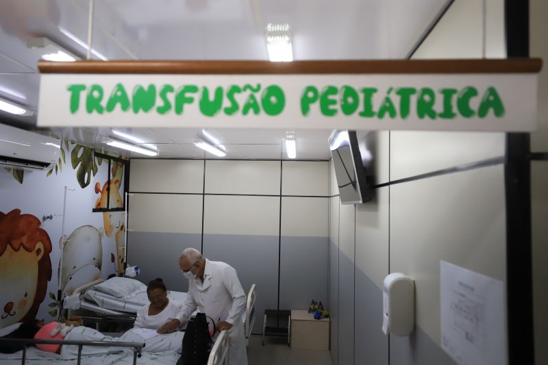  <div class='credito_fotos'>Foto: Bruno Cruz / Ag. Pará &nbsp;&nbsp;|&nbsp;&nbsp; <a href='/midias/2024/originais/18456_88f89416-3326-4472-d999-e3fe0c9b9138.jpg' download><i class='fa-solid fa-download'></i> Download</a></div>