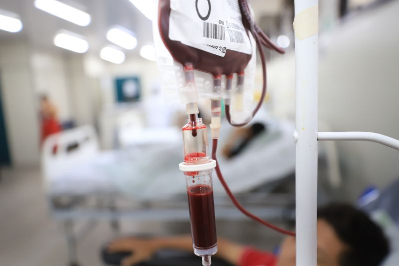  <div class='credito_fotos'>Foto: Bruno Cruz / Ag. Pará &nbsp;&nbsp;|&nbsp;&nbsp; <a href='/midias/2024/originais/18456_8b478c0f-4b07-df5c-0b26-3e4ad50e341e.jpg' download><i class='fa-solid fa-download'></i> Download</a></div>