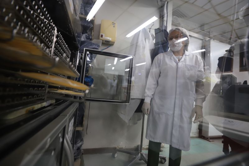  <div class='credito_fotos'>Foto: Bruno Cruz / Ag. Pará &nbsp;&nbsp;|&nbsp;&nbsp; <a href='/midias/2024/originais/18456_8bc4b62f-1a6b-f14c-03d2-37ced736969d.jpg' download><i class='fa-solid fa-download'></i> Download</a></div>