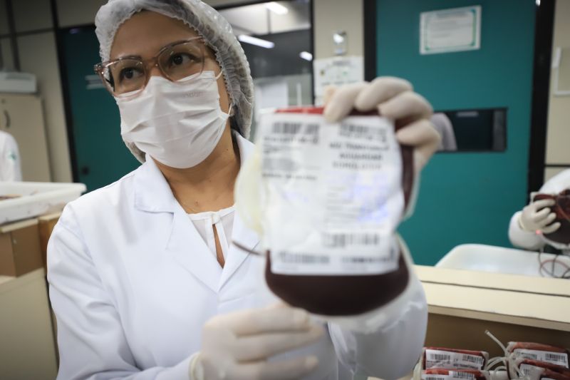  <div class='credito_fotos'>Foto: Bruno Cruz / Ag. Pará &nbsp;&nbsp;|&nbsp;&nbsp; <a href='/midias/2024/originais/18456_8ddadb8c-e8f5-a5d6-0bd1-6b09500ba041.jpg' download><i class='fa-solid fa-download'></i> Download</a></div>