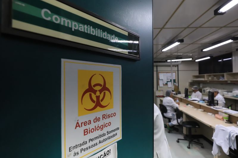  <div class='credito_fotos'>Foto: Bruno Cruz / Ag. Pará &nbsp;&nbsp;|&nbsp;&nbsp; <a href='/midias/2024/originais/18456_8e26292c-9ed9-25a6-db92-2ba54f0182ac.jpg' download><i class='fa-solid fa-download'></i> Download</a></div>