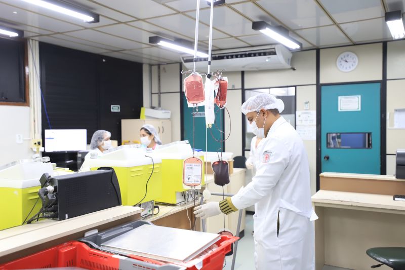  <div class='credito_fotos'>Foto: Bruno Cruz / Ag. Pará &nbsp;&nbsp;|&nbsp;&nbsp; <a href='/midias/2024/originais/18456_8e5fb222-6236-be81-da67-dddfc2922be2.jpg' download><i class='fa-solid fa-download'></i> Download</a></div>