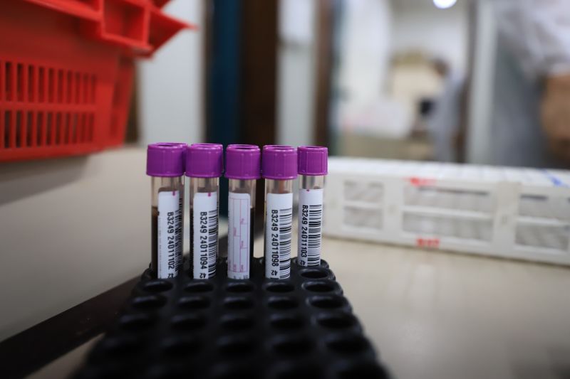  <div class='credito_fotos'>Foto: Bruno Cruz / Ag. Pará &nbsp;&nbsp;|&nbsp;&nbsp; <a href='/midias/2024/originais/18456_90c42f4f-62a0-7e5e-84d8-c713f5346ca3.jpg' download><i class='fa-solid fa-download'></i> Download</a></div>