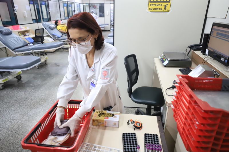  <div class='credito_fotos'>Foto: Bruno Cruz / Ag. Pará &nbsp;&nbsp;|&nbsp;&nbsp; <a href='/midias/2024/originais/18456_a066254d-ae45-de9a-56ef-02f3e01b823a.jpg' download><i class='fa-solid fa-download'></i> Download</a></div>