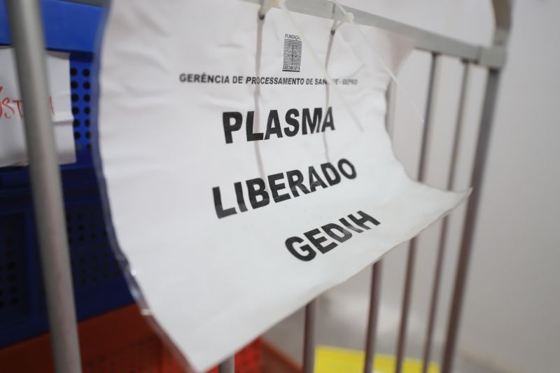  <div class='credito_fotos'>Foto: Bruno Cruz / Ag. Pará &nbsp;&nbsp;|&nbsp;&nbsp; <a href='/midias/2024/originais/18456_a187310f-be19-d646-a319-0f53d6a795d1.jpg' download><i class='fa-solid fa-download'></i> Download</a></div>