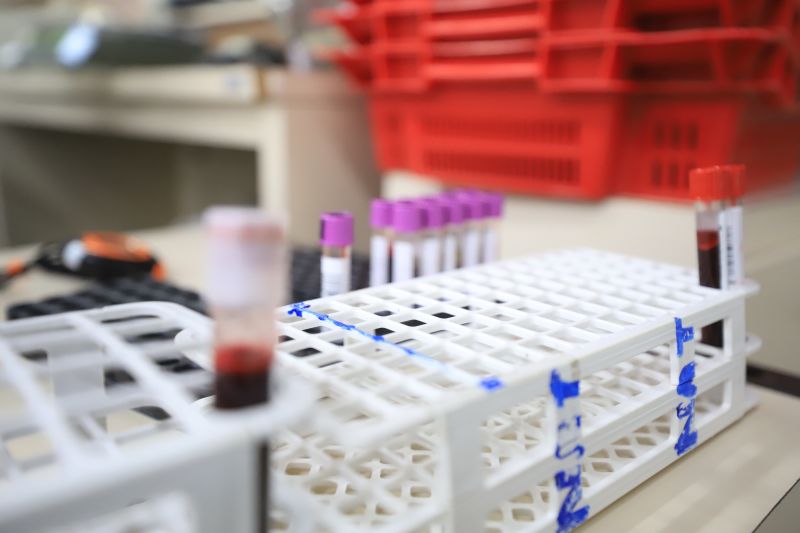  <div class='credito_fotos'>Foto: Bruno Cruz / Ag. Pará &nbsp;&nbsp;|&nbsp;&nbsp; <a href='/midias/2024/originais/18456_a8a64d14-4e1c-b397-69e3-75999a087bc3.jpg' download><i class='fa-solid fa-download'></i> Download</a></div>