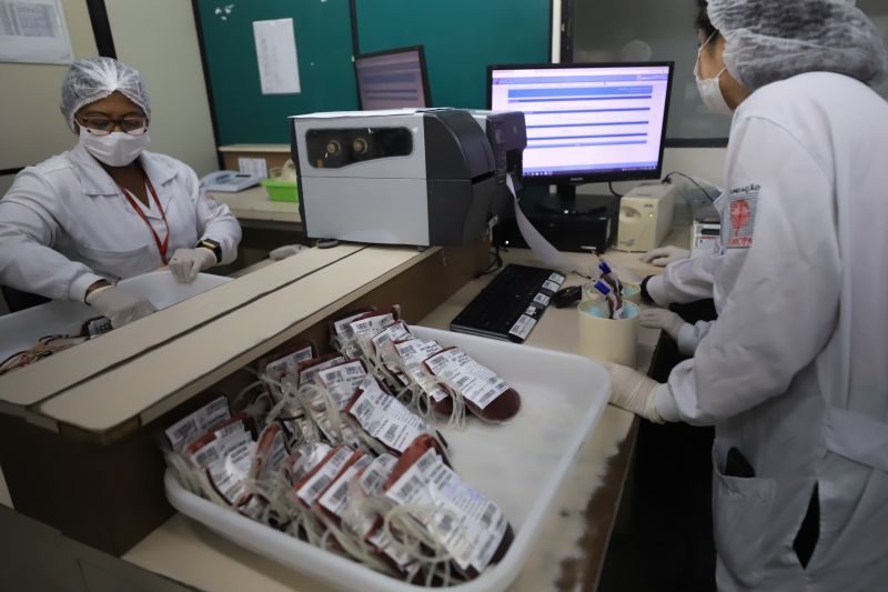  <div class='credito_fotos'>Foto: Bruno Cruz / Ag. Pará &nbsp;&nbsp;|&nbsp;&nbsp; <a href='/midias/2024/originais/18456_a9a0eaa3-a91a-9328-3b14-998d3b323843.jpg' download><i class='fa-solid fa-download'></i> Download</a></div>