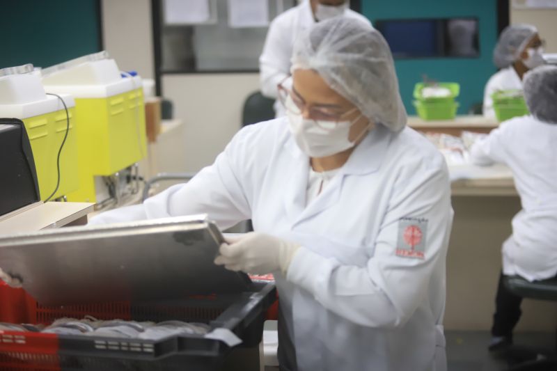  <div class='credito_fotos'>Foto: Bruno Cruz / Ag. Pará &nbsp;&nbsp;|&nbsp;&nbsp; <a href='/midias/2024/originais/18456_aa32fe2e-2c90-2986-cab5-83368077805e.jpg' download><i class='fa-solid fa-download'></i> Download</a></div>