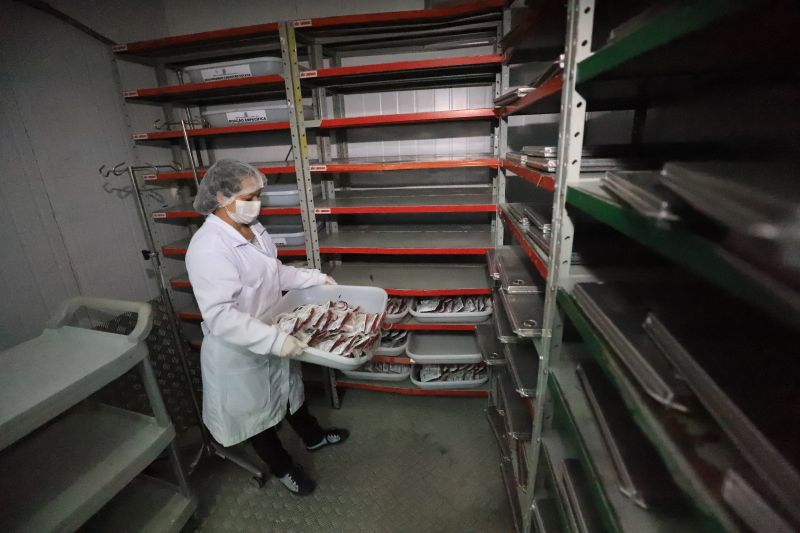  <div class='credito_fotos'>Foto: Bruno Cruz / Ag. Pará &nbsp;&nbsp;|&nbsp;&nbsp; <a href='/midias/2024/originais/18456_aaf7112b-5d71-18d5-f9bb-391daa70a3c6.jpg' download><i class='fa-solid fa-download'></i> Download</a></div>