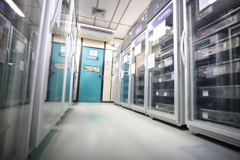  <div class='credito_fotos'>Foto: Bruno Cruz / Ag. Pará &nbsp;&nbsp;|&nbsp;&nbsp; <a href='/midias/2024/originais/18456_acdfbaee-79f6-f8ea-c27a-91203e632f09.jpg' download><i class='fa-solid fa-download'></i> Download</a></div>