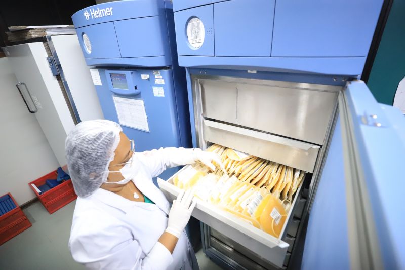  <div class='credito_fotos'>Foto: Bruno Cruz / Ag. Pará &nbsp;&nbsp;|&nbsp;&nbsp; <a href='/midias/2024/originais/18456_ad992cd1-111d-2d29-684c-3279cddd1b8f.jpg' download><i class='fa-solid fa-download'></i> Download</a></div>