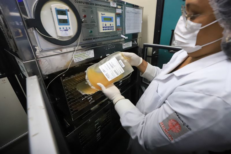  <div class='credito_fotos'>Foto: Bruno Cruz / Ag. Pará &nbsp;&nbsp;|&nbsp;&nbsp; <a href='/midias/2024/originais/18456_b150a943-8089-6229-f3bf-44559deee91f.jpg' download><i class='fa-solid fa-download'></i> Download</a></div>