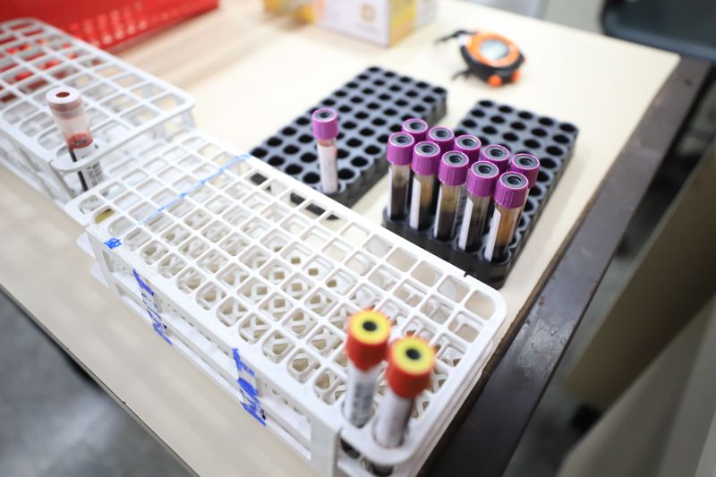  <div class='credito_fotos'>Foto: Bruno Cruz / Ag. Pará &nbsp;&nbsp;|&nbsp;&nbsp; <a href='/midias/2024/originais/18456_b30d590a-e95e-79c7-f0af-e99f67cd1510.jpg' download><i class='fa-solid fa-download'></i> Download</a></div>