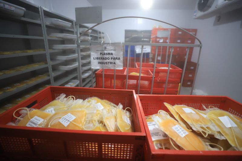  <div class='credito_fotos'>Foto: Bruno Cruz / Ag. Pará &nbsp;&nbsp;|&nbsp;&nbsp; <a href='/midias/2024/originais/18456_b3159bac-cf56-e9c0-f1fb-48a811cb086d.jpg' download><i class='fa-solid fa-download'></i> Download</a></div>