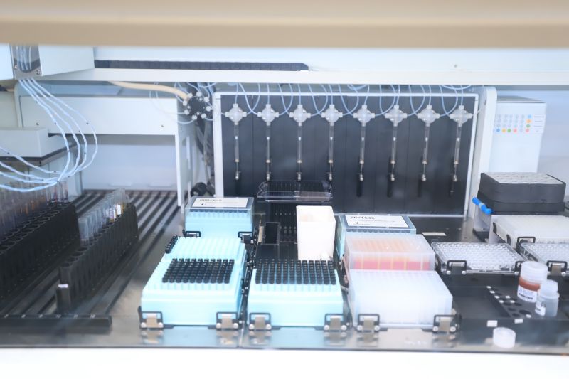  <div class='credito_fotos'>Foto: Bruno Cruz / Ag. Pará &nbsp;&nbsp;|&nbsp;&nbsp; <a href='/midias/2024/originais/18456_b8c2eb8e-e178-38a5-613a-46fef1a9b6e5.jpg' download><i class='fa-solid fa-download'></i> Download</a></div>