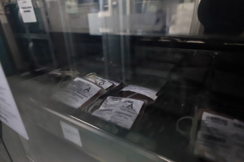  <div class='credito_fotos'>Foto: Bruno Cruz / Ag. Pará &nbsp;&nbsp;|&nbsp;&nbsp; <a href='/midias/2024/originais/18456_b9dcc18e-e4a9-6059-3a5e-ee21224fa3d8.jpg' download><i class='fa-solid fa-download'></i> Download</a></div>