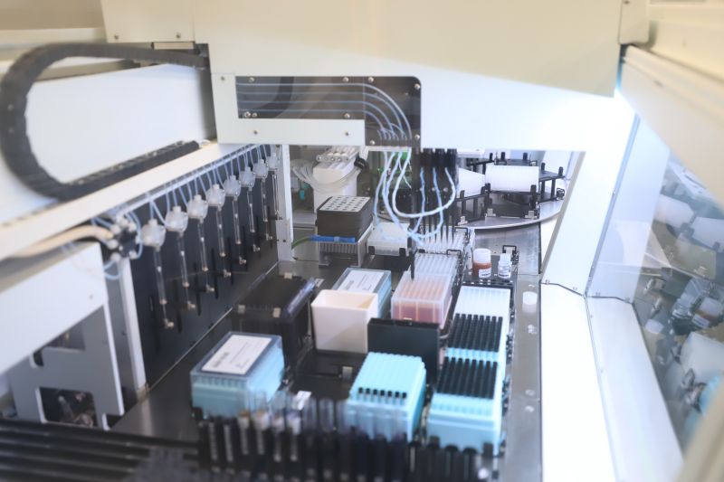  <div class='credito_fotos'>Foto: Bruno Cruz / Ag. Pará &nbsp;&nbsp;|&nbsp;&nbsp; <a href='/midias/2024/originais/18456_c2fa97f6-ada8-3ac5-86e7-b0345bcdda14.jpg' download><i class='fa-solid fa-download'></i> Download</a></div>