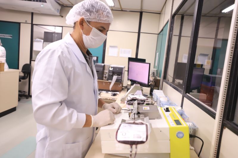  <div class='credito_fotos'>Foto: Bruno Cruz / Ag. Pará &nbsp;&nbsp;|&nbsp;&nbsp; <a href='/midias/2024/originais/18456_c858df71-0d35-5edb-bb9b-0ed3224855f6.jpg' download><i class='fa-solid fa-download'></i> Download</a></div>