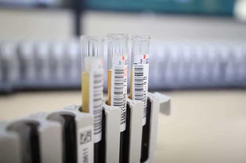  <div class='credito_fotos'>Foto: Bruno Cruz / Ag. Pará &nbsp;&nbsp;|&nbsp;&nbsp; <a href='/midias/2024/originais/18456_c8fb58d9-5ac0-053f-0d1a-f0882530cd9c.jpg' download><i class='fa-solid fa-download'></i> Download</a></div>