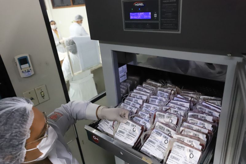  <div class='credito_fotos'>Foto: Bruno Cruz / Ag. Pará &nbsp;&nbsp;|&nbsp;&nbsp; <a href='/midias/2024/originais/18456_d7940816-895d-3eb6-40df-16fa67b95ebf.jpg' download><i class='fa-solid fa-download'></i> Download</a></div>