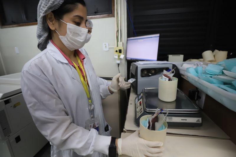  <div class='credito_fotos'>Foto: Bruno Cruz / Ag. Pará &nbsp;&nbsp;|&nbsp;&nbsp; <a href='/midias/2024/originais/18456_d7c565af-2ee1-177a-58ca-7b4ac92d9742.jpg' download><i class='fa-solid fa-download'></i> Download</a></div>