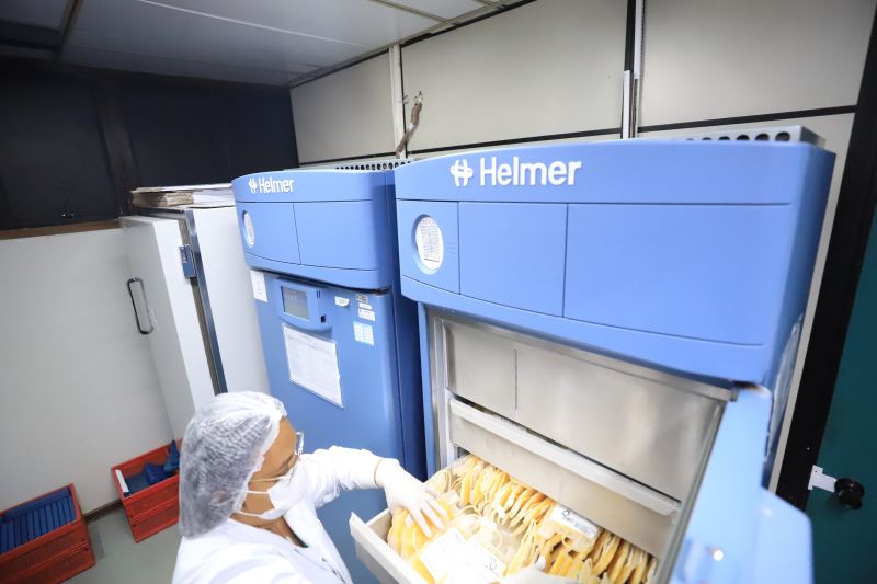  <div class='credito_fotos'>Foto: Bruno Cruz / Ag. Pará &nbsp;&nbsp;|&nbsp;&nbsp; <a href='/midias/2024/originais/18456_dda86b2d-7060-390a-b481-ef963150dd51.jpg' download><i class='fa-solid fa-download'></i> Download</a></div>