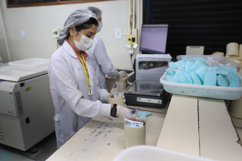  <div class='credito_fotos'>Foto: Bruno Cruz / Ag. Pará &nbsp;&nbsp;|&nbsp;&nbsp; <a href='/midias/2024/originais/18456_e1141095-0165-f312-2cfc-e1a237eb34da.jpg' download><i class='fa-solid fa-download'></i> Download</a></div>