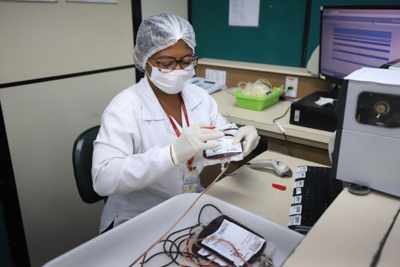  <div class='credito_fotos'>Foto: Bruno Cruz / Ag. Pará &nbsp;&nbsp;|&nbsp;&nbsp; <a href='/midias/2024/originais/18456_e2371c5d-be57-7039-5fd2-ec9c85a9d6b2.jpg' download><i class='fa-solid fa-download'></i> Download</a></div>