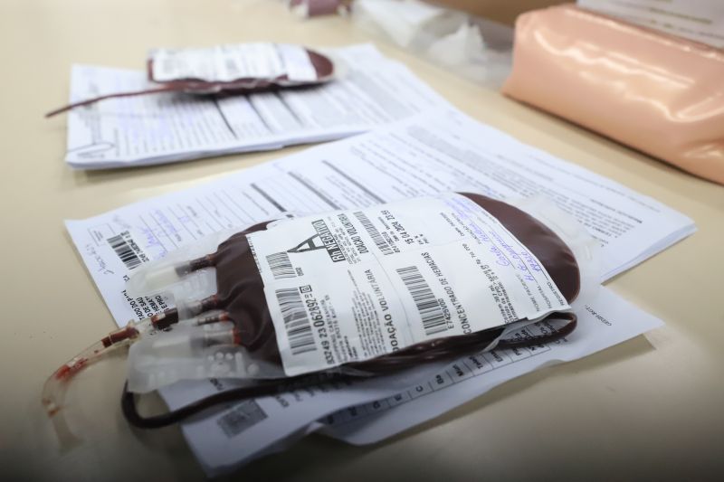  <div class='credito_fotos'>Foto: Bruno Cruz / Ag. Pará &nbsp;&nbsp;|&nbsp;&nbsp; <a href='/midias/2024/originais/18456_e38fb141-478c-9a0e-e203-4f611b69e537.jpg' download><i class='fa-solid fa-download'></i> Download</a></div>