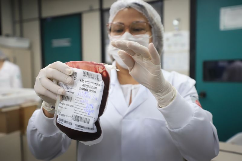  <div class='credito_fotos'>Foto: Bruno Cruz / Ag. Pará &nbsp;&nbsp;|&nbsp;&nbsp; <a href='/midias/2024/originais/18456_e55b7295-8ce3-6f36-d99f-0ccc486bcb3f.jpg' download><i class='fa-solid fa-download'></i> Download</a></div>