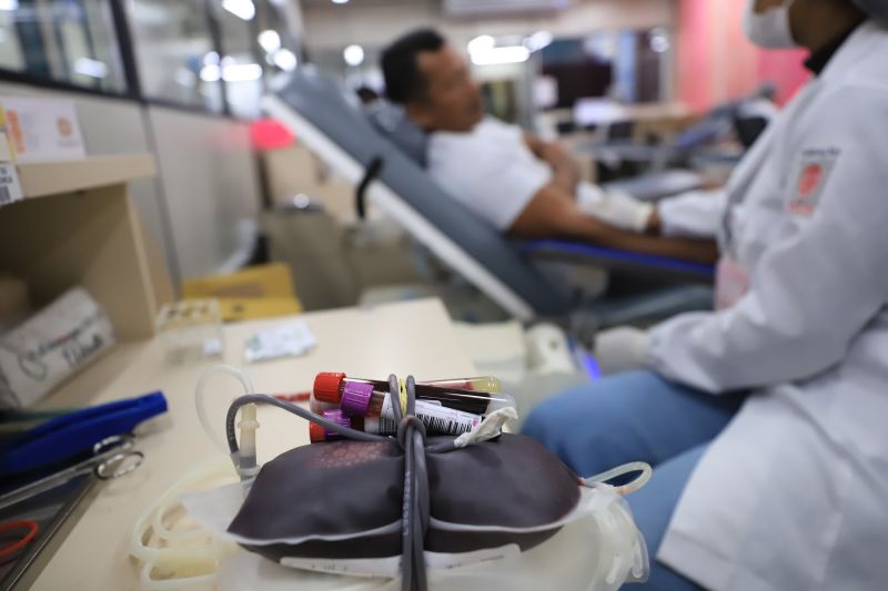  <div class='credito_fotos'>Foto: Bruno Cruz / Ag. Pará &nbsp;&nbsp;|&nbsp;&nbsp; <a href='/midias/2024/originais/18456_e7391ec9-2f26-d44b-8409-d61b461f8b7f.jpg' download><i class='fa-solid fa-download'></i> Download</a></div>