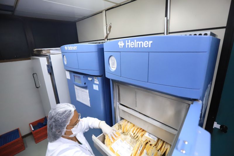  <div class='credito_fotos'>Foto: Bruno Cruz / Ag. Pará &nbsp;&nbsp;|&nbsp;&nbsp; <a href='/midias/2024/originais/18456_eb51e304-d73d-249a-be3b-43fd46a51b57.jpg' download><i class='fa-solid fa-download'></i> Download</a></div>