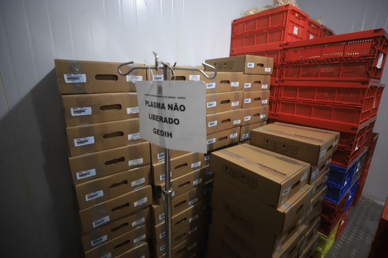  <div class='credito_fotos'>Foto: Bruno Cruz / Ag. Pará &nbsp;&nbsp;|&nbsp;&nbsp; <a href='/midias/2024/originais/18456_ebe59c8e-b918-702a-a1cf-48ccafa48fb0.jpg' download><i class='fa-solid fa-download'></i> Download</a></div>