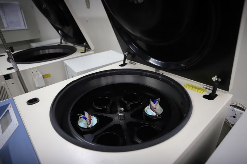  <div class='credito_fotos'>Foto: Bruno Cruz / Ag. Pará &nbsp;&nbsp;|&nbsp;&nbsp; <a href='/midias/2024/originais/18456_f07e558d-1b22-c864-401b-cad89b898567.jpg' download><i class='fa-solid fa-download'></i> Download</a></div>