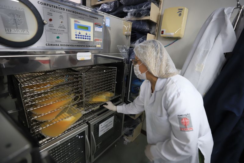  <div class='credito_fotos'>Foto: Bruno Cruz / Ag. Pará &nbsp;&nbsp;|&nbsp;&nbsp; <a href='/midias/2024/originais/18456_f544c60c-b928-78b5-c2b7-f03b7b107357.jpg' download><i class='fa-solid fa-download'></i> Download</a></div>