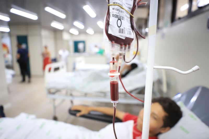  <div class='credito_fotos'>Foto: Bruno Cruz / Ag. Pará &nbsp;&nbsp;|&nbsp;&nbsp; <a href='/midias/2024/originais/18456_f6da8890-ab63-5fab-12a8-b9c7a889edd6.jpg' download><i class='fa-solid fa-download'></i> Download</a></div>