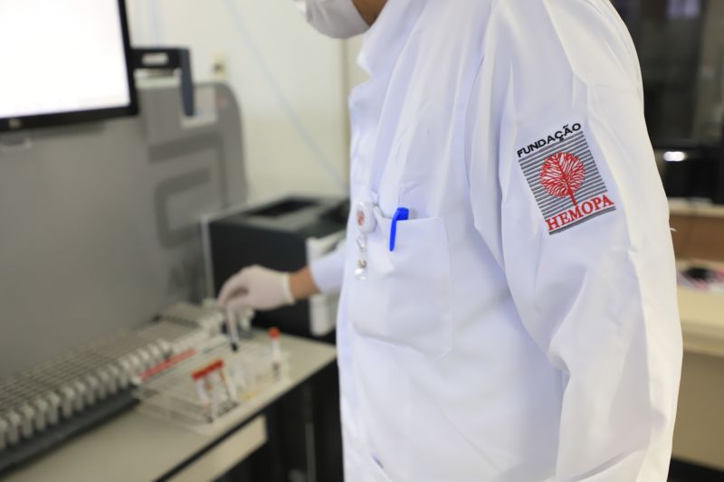  <div class='credito_fotos'>Foto: Bruno Cruz / Ag. Pará &nbsp;&nbsp;|&nbsp;&nbsp; <a href='/midias/2024/originais/18456_f6dd4027-3c5a-cfd0-85e9-5a7c8076d4c7.jpg' download><i class='fa-solid fa-download'></i> Download</a></div>