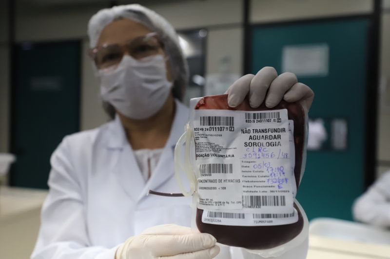  <div class='credito_fotos'>Foto: Bruno Cruz / Ag. Pará &nbsp;&nbsp;|&nbsp;&nbsp; <a href='/midias/2024/originais/18456_f84a9313-75b3-bb05-970b-341fb3630942.jpg' download><i class='fa-solid fa-download'></i> Download</a></div>