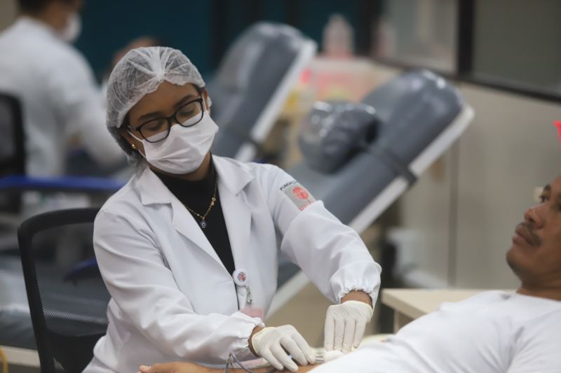  <div class='credito_fotos'>Foto: Bruno Cruz / Ag. Pará &nbsp;&nbsp;|&nbsp;&nbsp; <a href='/midias/2024/originais/18456_fd5f3b38-677c-35de-8e4a-d32bf7599da5.jpg' download><i class='fa-solid fa-download'></i> Download</a></div>