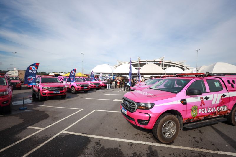  <div class='credito_fotos'>Foto: Marcelo Lelis / Ag. Pará &nbsp;&nbsp;|&nbsp;&nbsp; <a href='/midias/2024/originais/18484_2b1a6b7b-1495-7526-3b88-cca101d60f6b.jpg' download><i class='fa-solid fa-download'></i> Download</a></div>