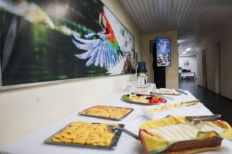  <div class='credito_fotos'>Foto: Pedro Guerreiro / Ag. Pará &nbsp;&nbsp;|&nbsp;&nbsp; <a href='/midias/2024/originais/18496_05a15f0e-736d-c4c5-5168-463a1b8fcbfa.jpg' download><i class='fa-solid fa-download'></i> Download</a></div>