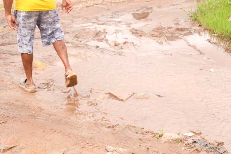  <div class='credito_fotos'>Foto: Bruno Cecim / Ag.Pará &nbsp;&nbsp;|&nbsp;&nbsp; <a href='/midias/2024/originais/18531_ecf6c812-7958-b95e-2d7a-7ff37d72b867.jpg' download><i class='fa-solid fa-download'></i> Download</a></div>