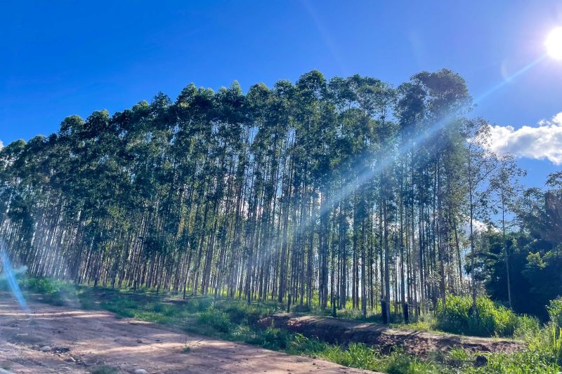  <div class='credito_fotos'>Foto: Rosivaldo Almeida / Agência Pará &nbsp;&nbsp;|&nbsp;&nbsp; <a href='/midias/2024/originais/18560_13e0368a-7224-b15c-22e3-afebb97c3aa7.jpg' download><i class='fa-solid fa-download'></i> Download</a></div>