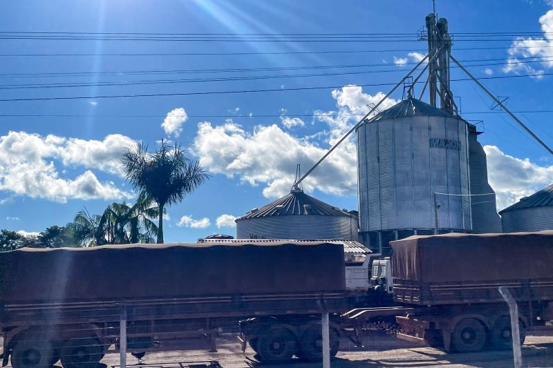  <div class='credito_fotos'>Foto: Rosivaldo Almeida / Agência Pará &nbsp;&nbsp;|&nbsp;&nbsp; <a href='/midias/2024/originais/18560_6325eeb9-490a-801c-d368-6b00c39475e2.jpg' download><i class='fa-solid fa-download'></i> Download</a></div>