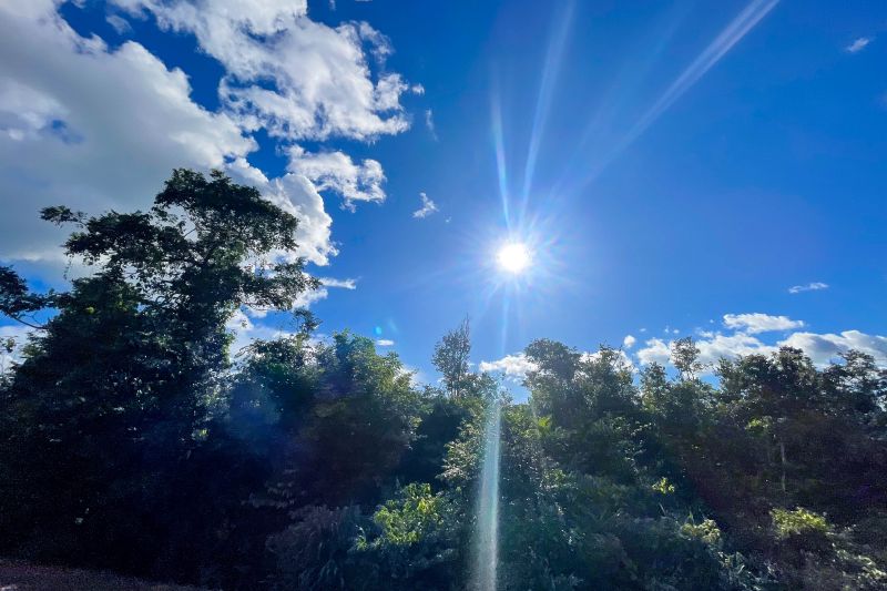  <div class='credito_fotos'>Foto: Rosivaldo Almeida / Agência Pará &nbsp;&nbsp;|&nbsp;&nbsp; <a href='/midias/2024/originais/18560_6dcf1248-d468-c910-a516-b7f8cf145612.jpg' download><i class='fa-solid fa-download'></i> Download</a></div>